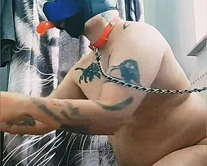 gaywolf getting kinky with the big mastino