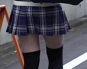 Full Version of 345simm-238 Available Now