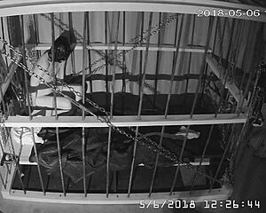 Graphic video of bound gay man making love in cage