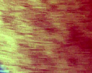 ebony beauty captured on june 11, 2016