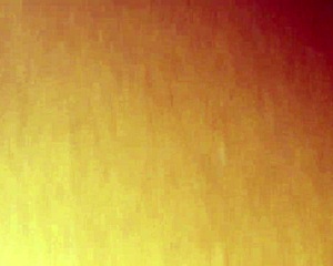 ebony beauty captured on june 11, 2016