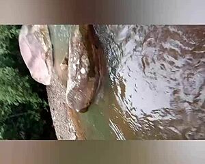 Alexachris20's Wild River Encounter