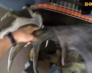 lesbian couple fucks with pawn keeper