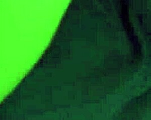 Blonde with glasses in cumshot compilation, short but intense