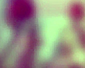 Best of Nicole Compilation with Wild Cum Moments