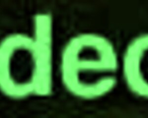 Phat Asses and Beautiful Pussy PMV Compilation