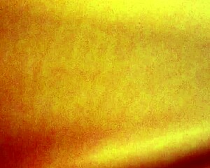 Blanquita Amateur Shows Her Hardcore Homemade Ass in Detailed Scenes