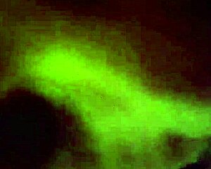 A quiet moment captured on January 2, 2017