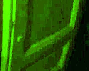 damn, watch this eurobabe get pussybanged hard in the window pov!