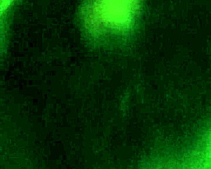 Black Girl Feels Intense Pleasure Sucking White Cock In POV