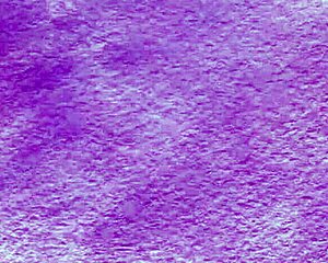 Wow, Arab Milf Leighla Habib Rips Clothes and Strips Nude!