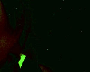 anna varentino swallows cum in the hot room