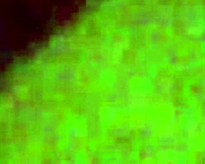 East Trenton NJ Section Ciera Squirt