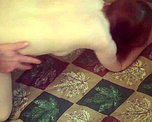 Redhot Redhead Show 1-8-2017