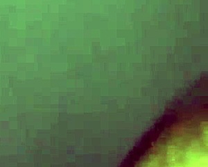 Intense Blowjob Action