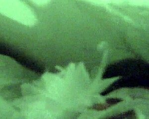 the sick girl gags on deepthroat?