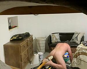 Bold Peeping Tom Adventure