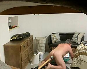 Bold Peeping Tom Adventure