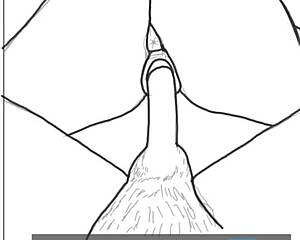 African couple fucks in drawing.