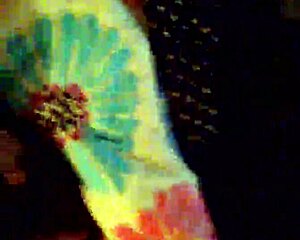 Cleveland bitches getting fucked in homemade scene