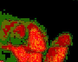 Colombian gives blowjob before riding