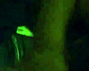 my stepmom caught sucking her bf's dick