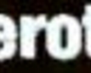 Christmas Pussy Fingering Sensual Lesbian Cunilingus By Sapphix!