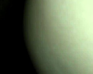 Latina Amateur Gets Creampie