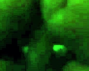 ebony cowgirl rides in black-themed narrative