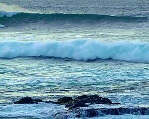 Boss in stockings demands hot sex!