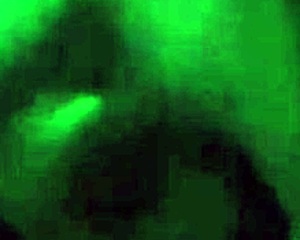 gf enjoys ass play while giving homemade blowjob to big cock