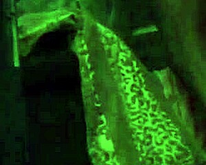 I'm Dede, cheating again with a blowjob, bent over doggystyle, and cumshot.