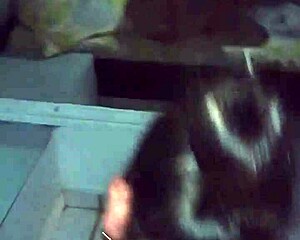 la chava gets covered in cum after some fun