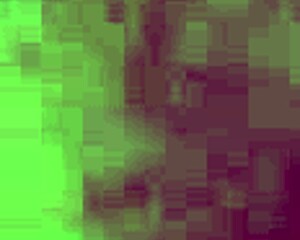 amateur wife fucked from behind