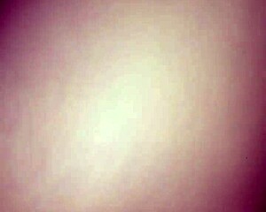 Mexican cock in trim video