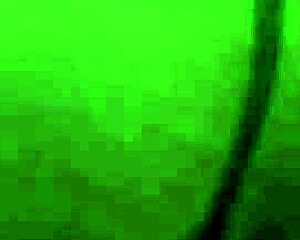 Selina kyl and eidyia eat each others pussies