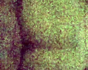 Cumslut Goes Wild for Messy Facial!