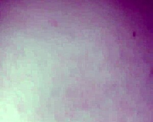 Amateur Couple Fucking