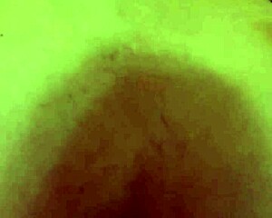 i have sex with my step uncle for 200usd