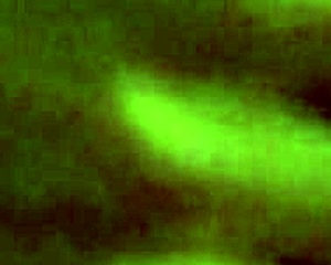 Amateur German Experiences Intense Contractions