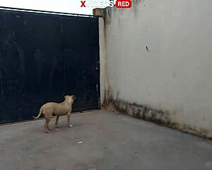 Novinha Recebeu Entregador De Pizza So De Toalha Video Completo Xvideos Red With Cock Facial