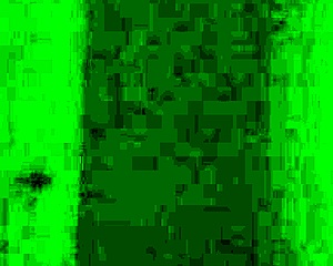 Ebony wife receives detailed ass licking and worshiping from black partner