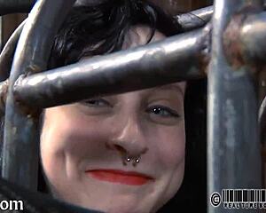 free sadomasochism erotica stories here 😏