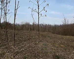 Liz And Ted Find A Hot Woman During Their Outdoor Hike.