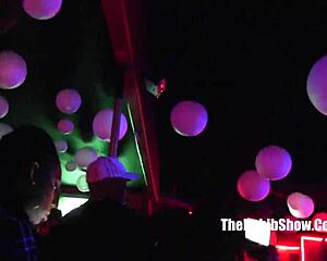 texas freaks nelli tiger n phoenoisseur eating pussy like champs