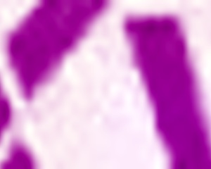 natasha rios dominatrix by cris bathory fetish