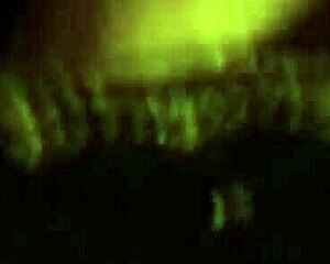 Exotic Indian Babe Enjoys Sensual Movements And Experience!