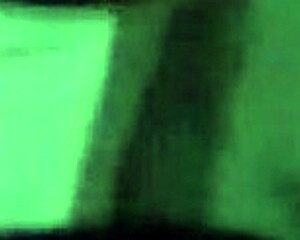 safadinharj getting her vagina and anal fucked deliciously