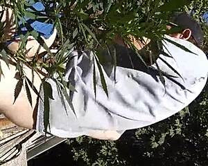 hot suck and fuck action in the 420 patch