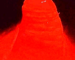 Slow, Detailed Cock Masturbation Leading To Creampie